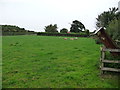 Sheep grazing near Beck Farm