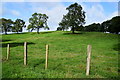 Corick Townland