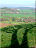 SU8712 : Singleton view from path south of Manor Farm by Chris Gunns