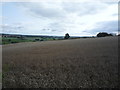 NZ2134 : Crop field near Todhills by JThomas