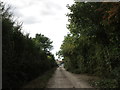 SE5415 : Common Lane, Norton by Jonathan Thacker