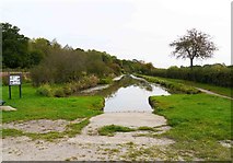 SU0781 : Templar's Firs terminus of the Wilts & Berks Canal, Royal Wootton Bassett, Wilts by P L Chadwick