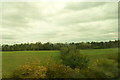 Fields beside the rail line at Hale Bank