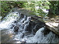 The tumbling weir on Havyat Road