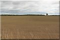 NU2302 : Arable field east of Cavil Head by Graham Robson