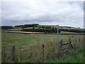 Footpath to Lodge House Farm