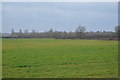 TQ8243 : Low Weald landscape by N Chadwick