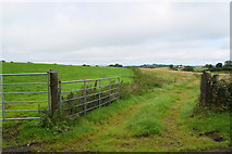 H5557 : An open field, Tycanny by Kenneth  Allen