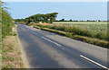 North Walsham Road towards Happisburgh