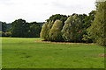 Field and woodland north of Glebe Farm