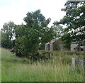 Derelict water mill by the Tullyvallon River