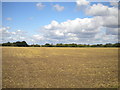 Field north of Stanton Lodge Farm