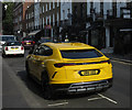 Lamborghini Urus, Beauchamp Place