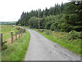 Forest bordering on Carrickacullion Road