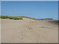 NT7574 : Sand dunes at Thorntonloch by M J Richardson