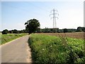 Electricity pylon in crop field