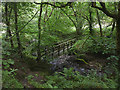 Footbridge below Lees House