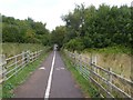 Cycle path to Pynes Hill, Exeter (2)