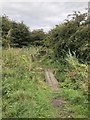 Footpath,Coxhoe