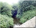 The Dorsy River below the Drumill Road Bridge