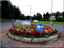 H4772 : Floral display at Cranny mini roundabout by Kenneth  Allen