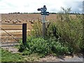 Bridleways cross [1]