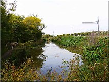 SU0881 : Current eastern terminus of restored section of canal at Royal Wootton Bassett, Wilts by P L Chadwick