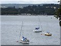 SX9784 : The Exe estuary from Darling's Rock by David Smith