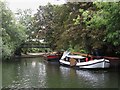 The River Thames by the north side of Church Island (2)