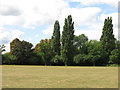 Lammas Recreation Ground (2)