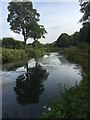 Shepherd Wheel mill pond