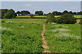 Path across farmland near Pitfield