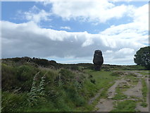 SK2462 : The Cork Stone: Stanton Moor by Chris Gunns