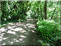 The Thames Path National Trail near Ham Lands Nature Reserve