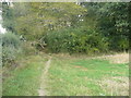 Footpath entering Crabtree Spring