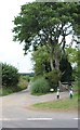 Track off the A272, Halfway Bridge