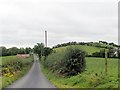 View south along Lough Road