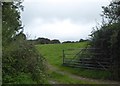 Field of grass on Winford Hill