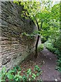 Path around Teaninich Walled Garden