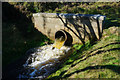 SE0511 : Culvert at Round Hill by Ian S