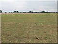 Footpath crossing arable fields on Three Croft Hill