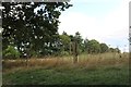 SU4356 : Meadow in Crux Easton by David Howard