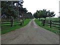 Track to Marshland House