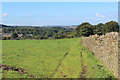 Footpath descending West from Heights Farm