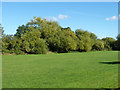 Green space along the Yeading Brook