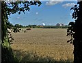 View towards Sizewell