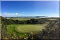 15th green at Ashburnham