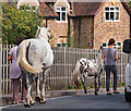 Taking the horse for a walk - Haresfield