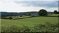 Across the fields to Springfield Farm