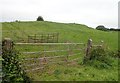 Improvised sheep fold between the Cregganduff Road and the abandoned lead mine